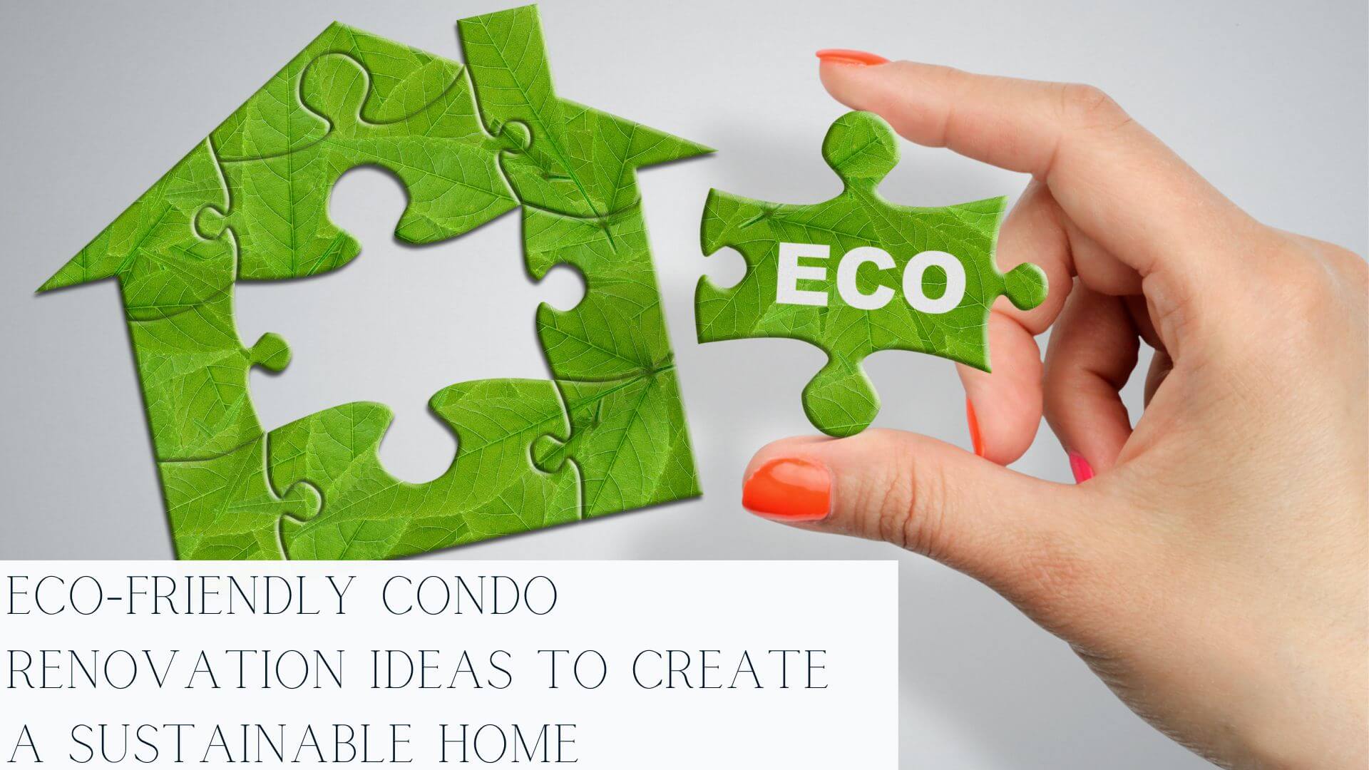 Eco-Friendly-Condo-Renovation-Ideas