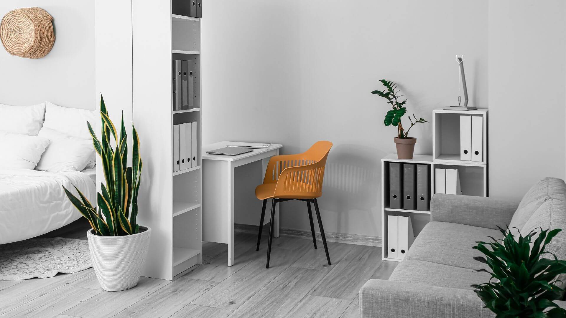 Open Concept Homes in Singapore Transform with Dividers
