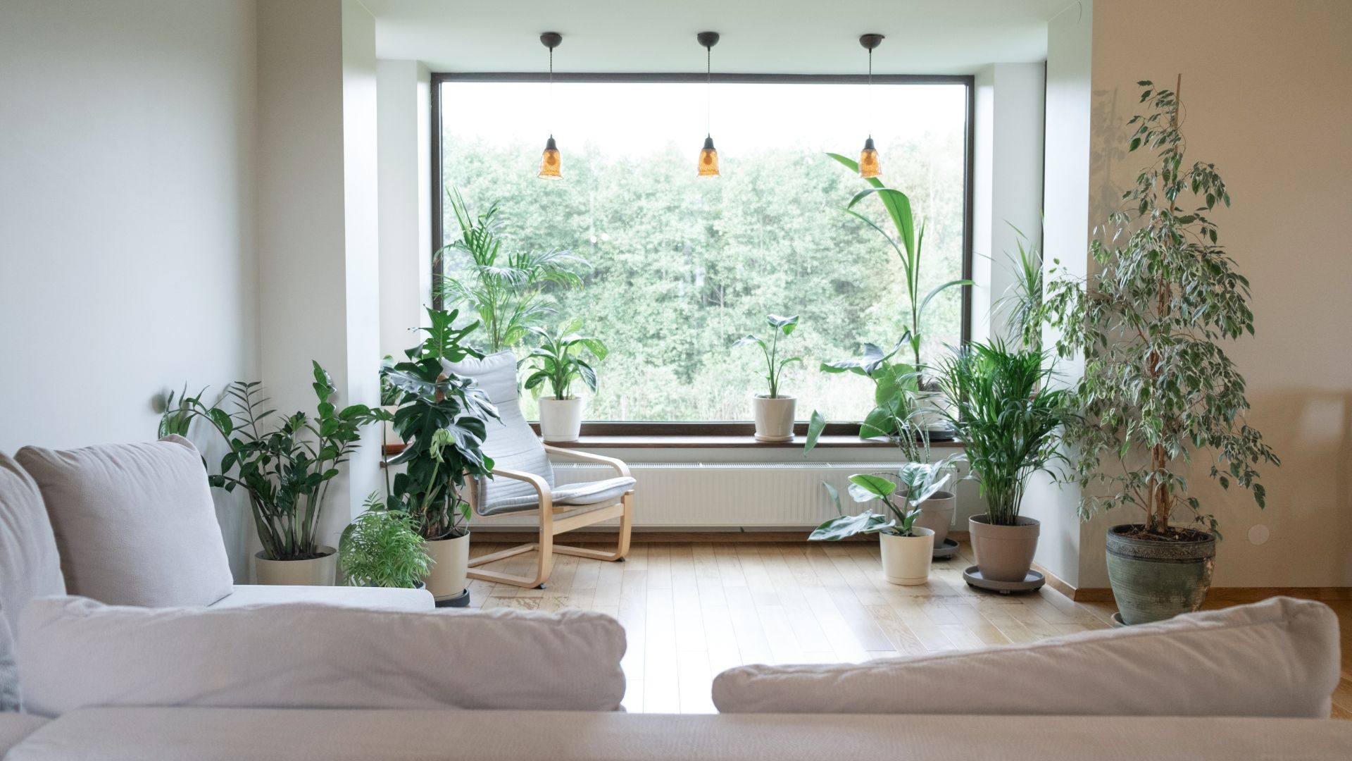 Biophilic Design