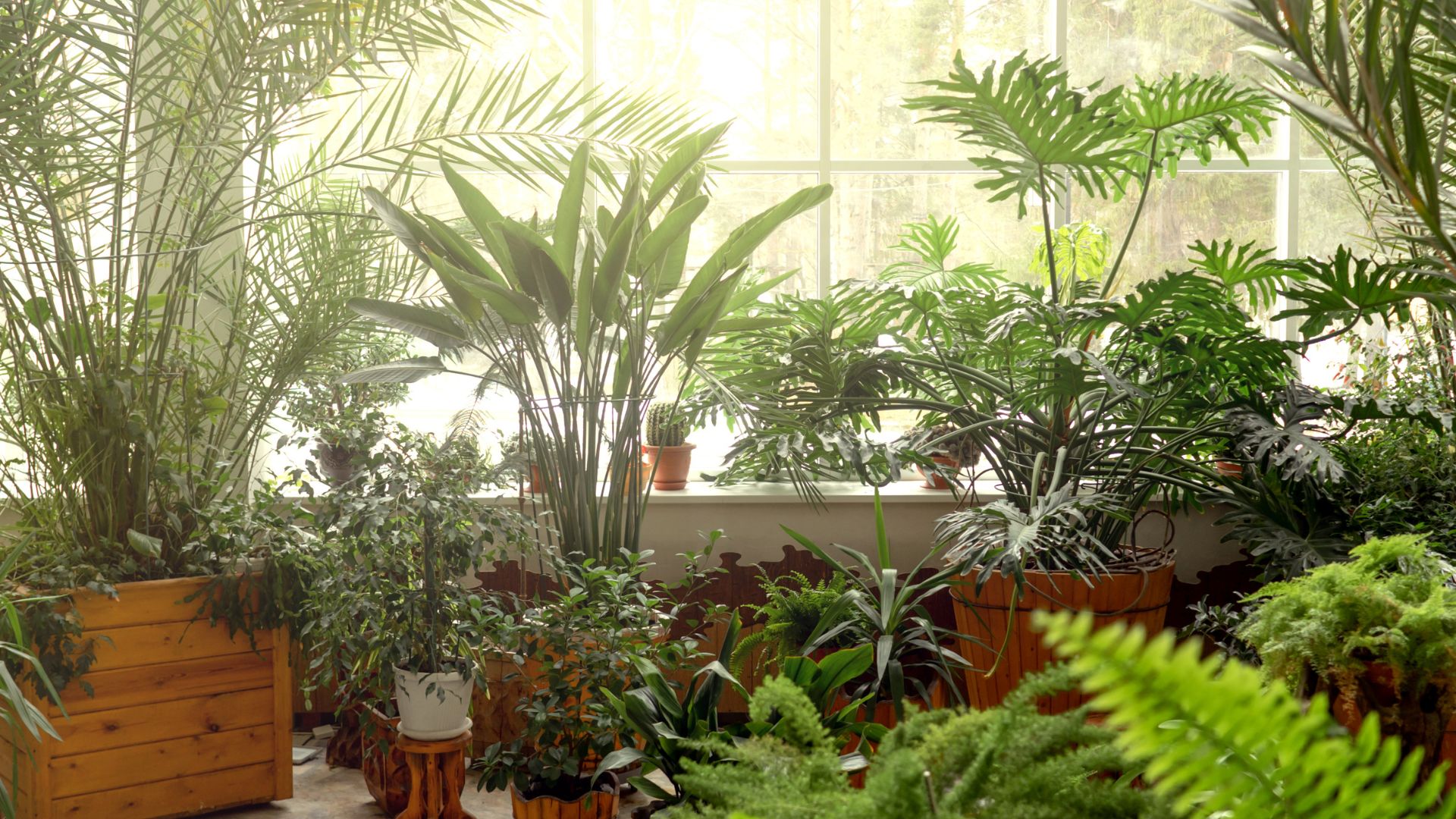 Outdoor Biophilic Design